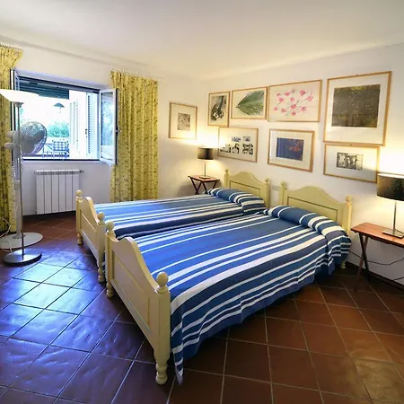 Tatil Evi Casa Rosa Di Cavoli Seccheto